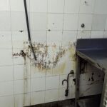 La cocina del Hospital de Vall d’Hebron en Barcelona, entre excrementos y cucarachas / CSIF