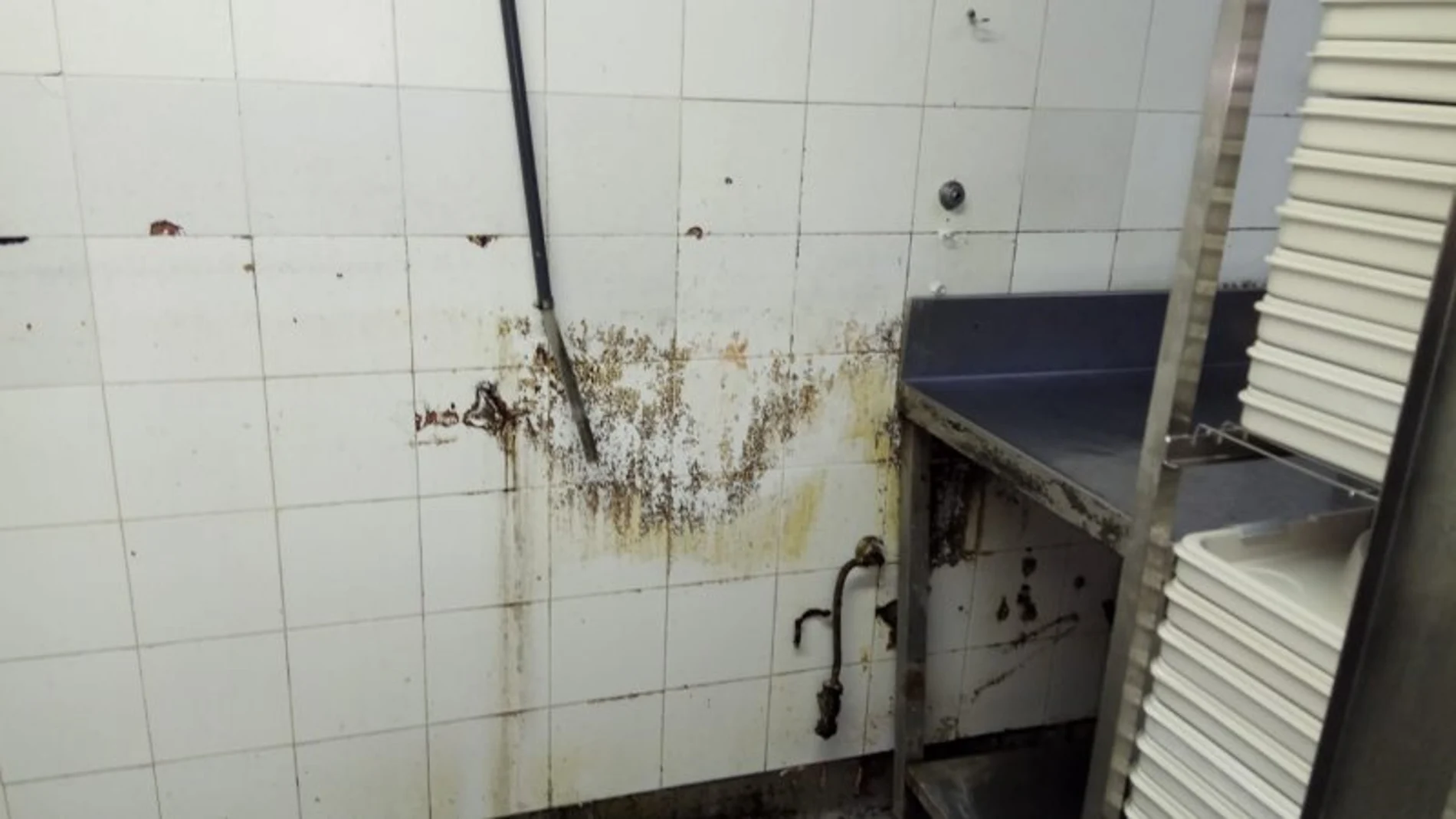 La cocina del Hospital de Vall d’Hebron en Barcelona, entre excrementos y cucarachas / CSIF