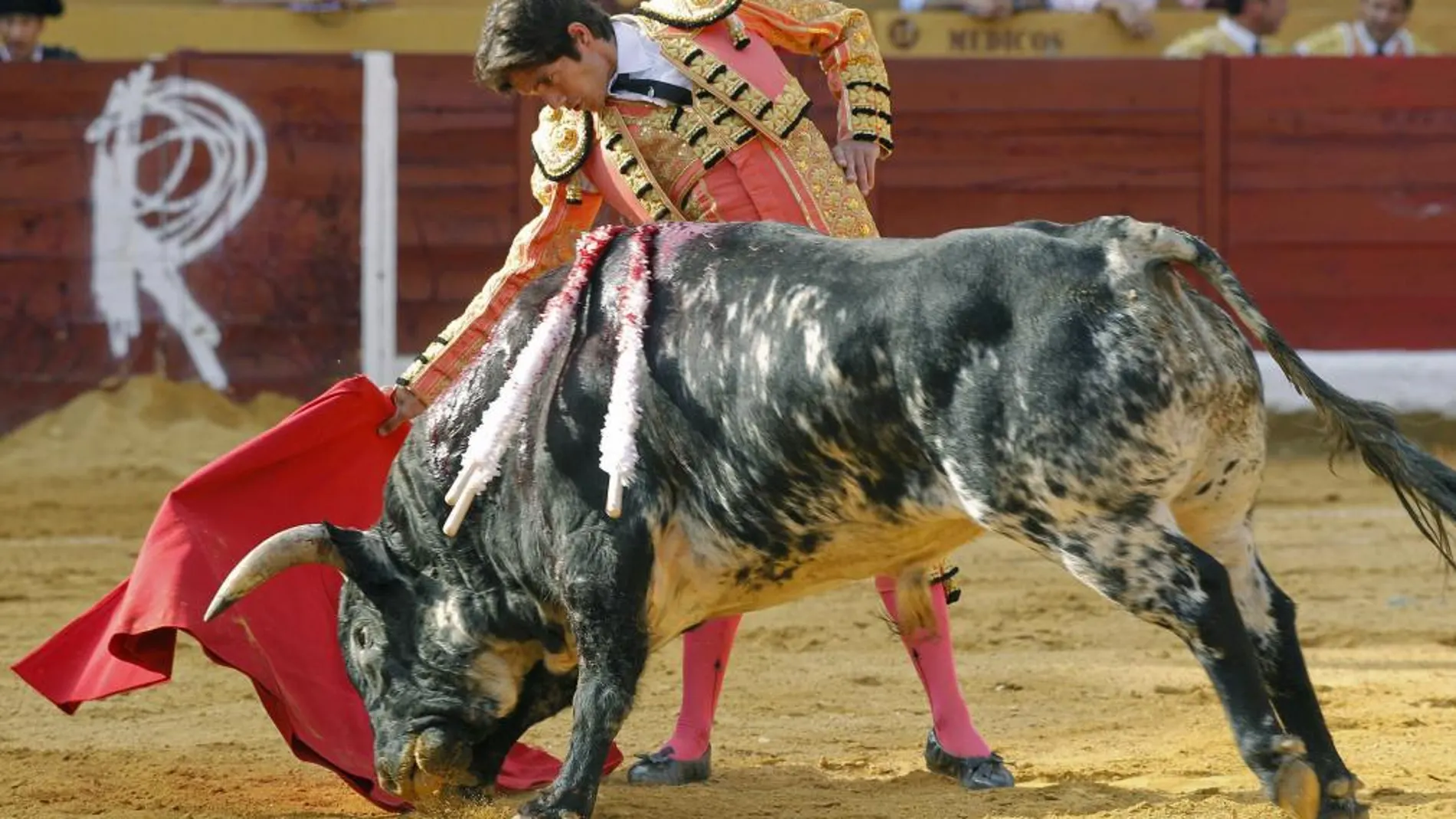 Sebastián Castella, en la plaza de toros de Burgos