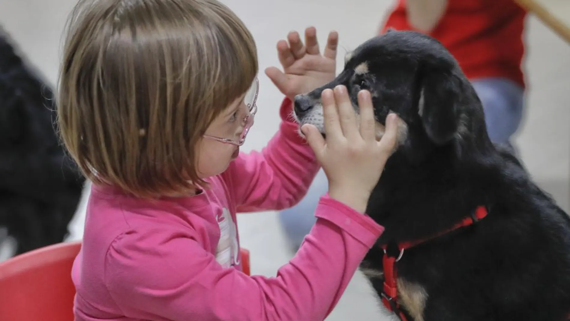 Una niña con síndrome de Down juega con un perro