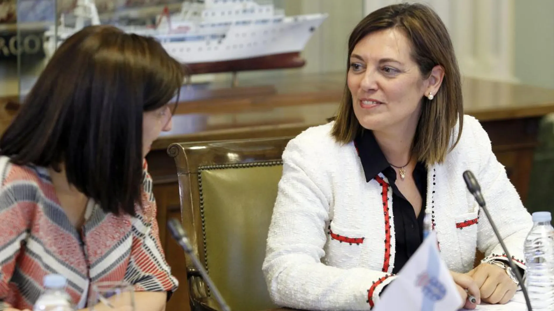 La consejera de Agricultura y Ganadería, Milagros Marcos, momentos antes de participar en el Consejo Consultivo de Política Agrícola para Asuntos Comunitarios y a la Conferencia Sectorial Extraordinaria de Agricultura y Desarrollo Rural, presidida por la ministra Isabel García Tejerina en Madrid.