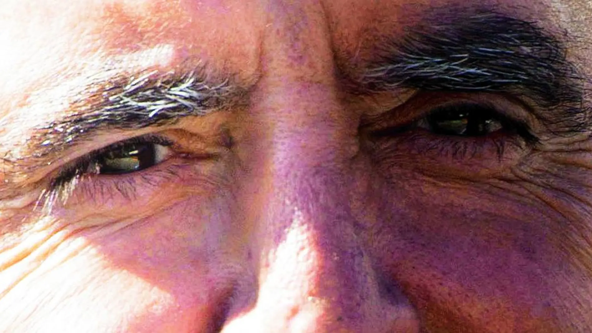 La nueva vida de José Ortega Cano