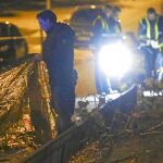 Muere un hombre en Alcorcón tras caerle encima la rama de un chopo