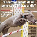 Portada del número de julio de LADRIDOS
