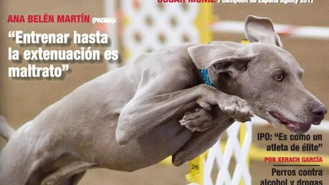 Portada del número de julio de LADRIDOS