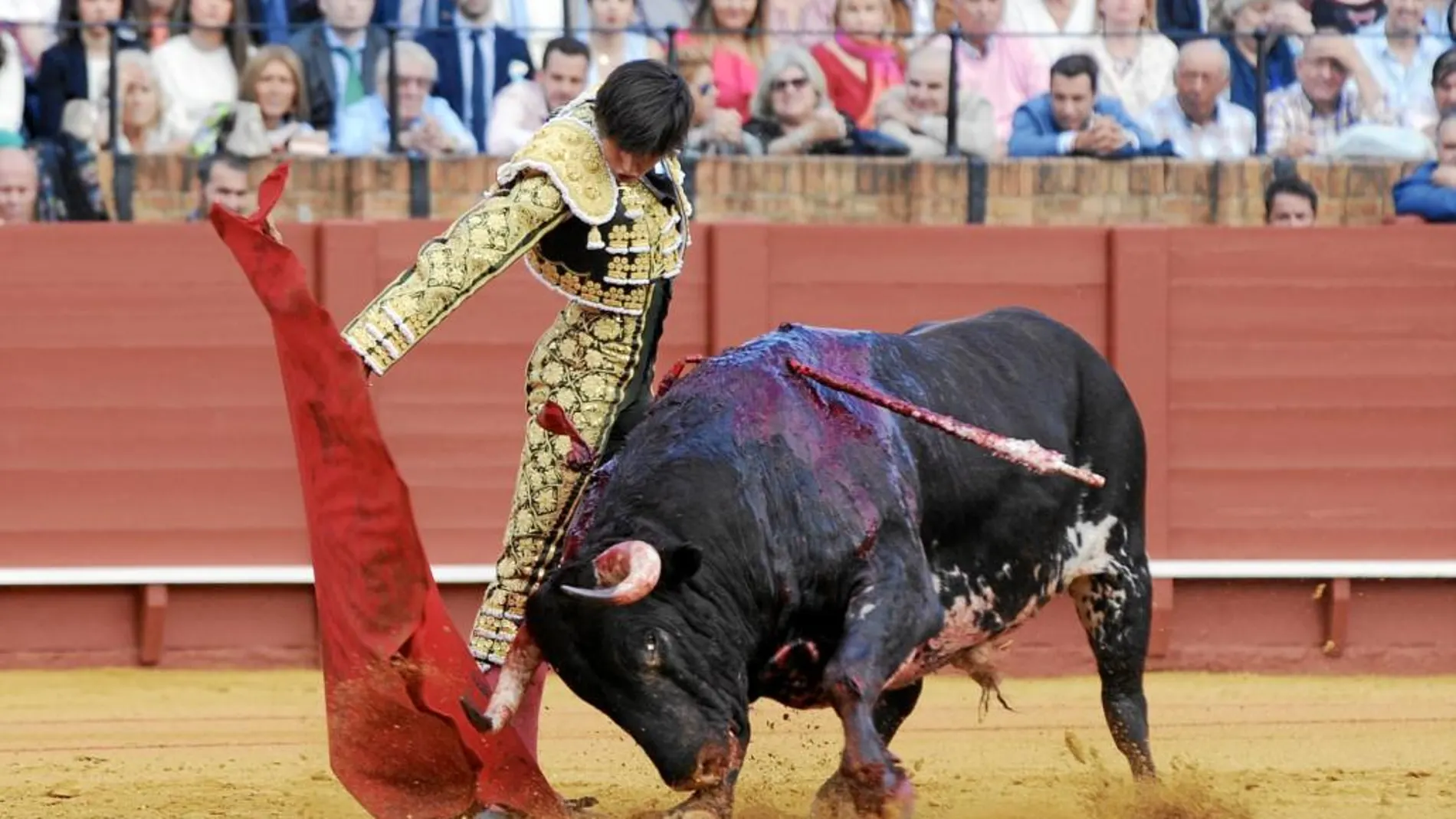 Pase de las Flores de Roca Rey ayer en La Maestranza