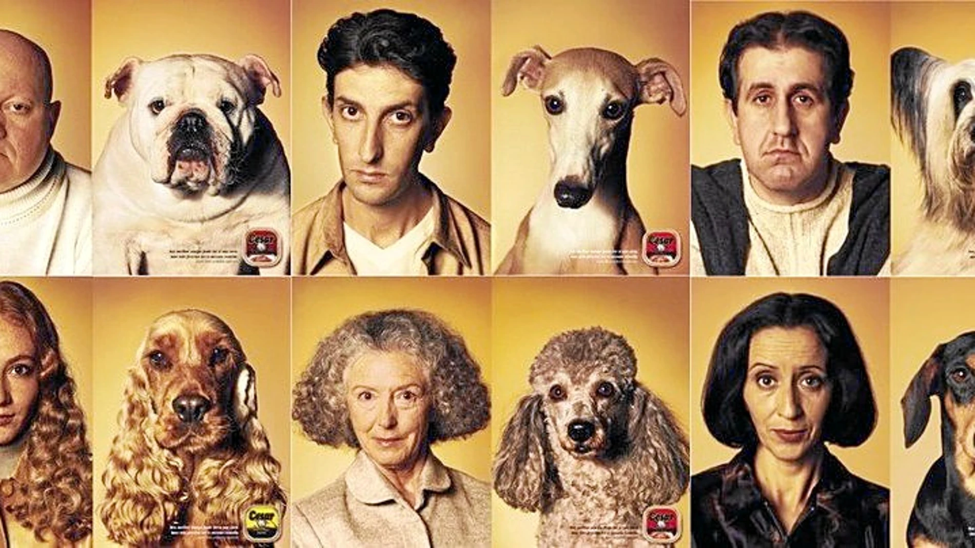 Divertida imagen de una campaña publicitaria en la que se buscó un asombroso parecido entre los perros y los modelos del anuncio