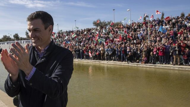El exsecretario general del PSOE Pedro Sánchez