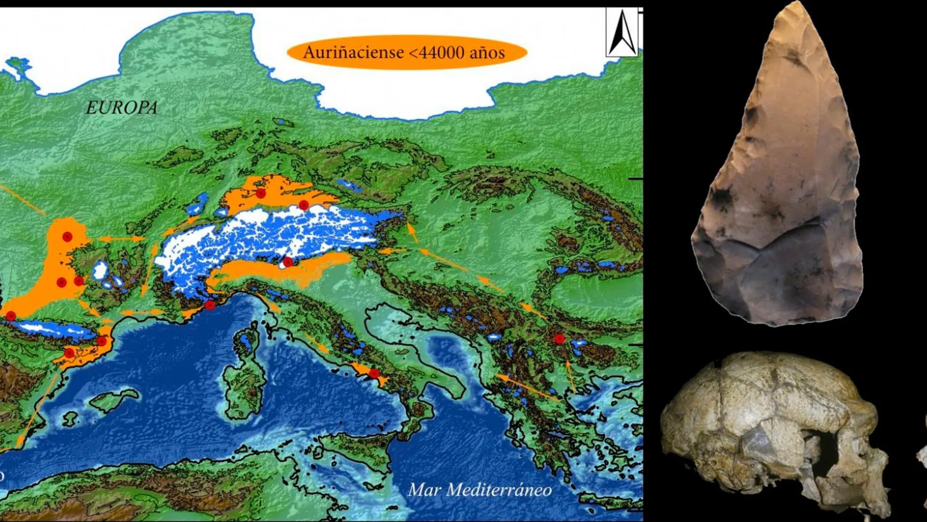 Mapa con una selección de los primeros yacimientos arqueológicos auriñacienses en Europa occidental, donde puede verse en el sur de la península Ibérica la Cueva Bajondillo (Málaga). Representación de industria lítica y cráneo de neandertal (izq.) y humano moderno (dcha.) / CSIC