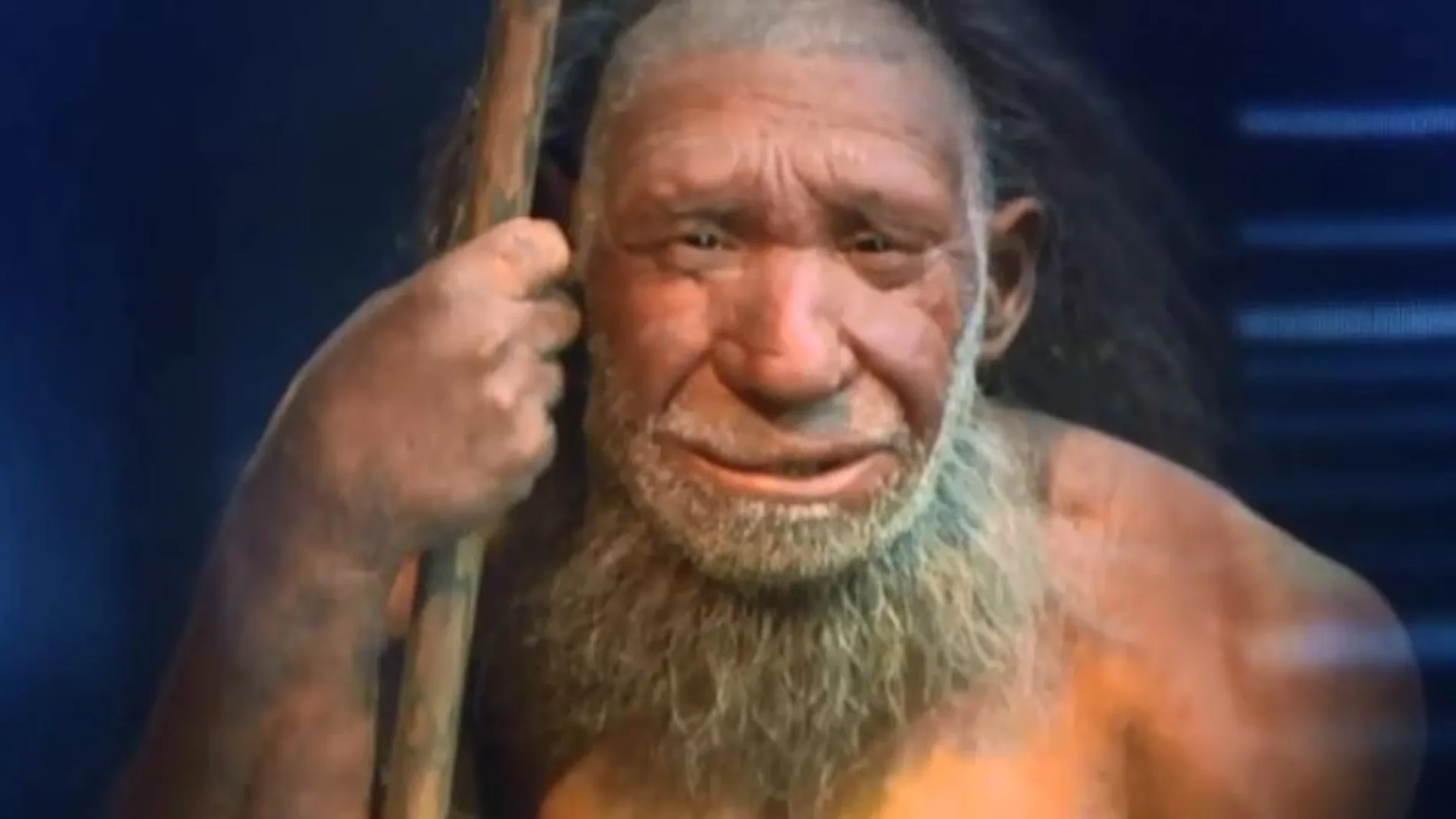 La corteza de álamo, la “aspirina” de los neandertales