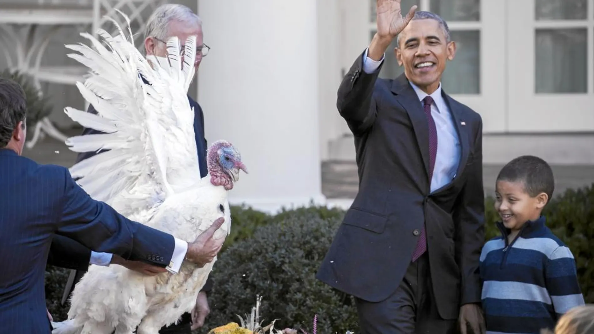 «Tater», el último pavo indultado. En su último Día de Acción de Gracias como presidente de Estados Unidos, Barack Obama cumplió ayer con la tradición de indultar un pavo en los jardines de la Casa Blanca