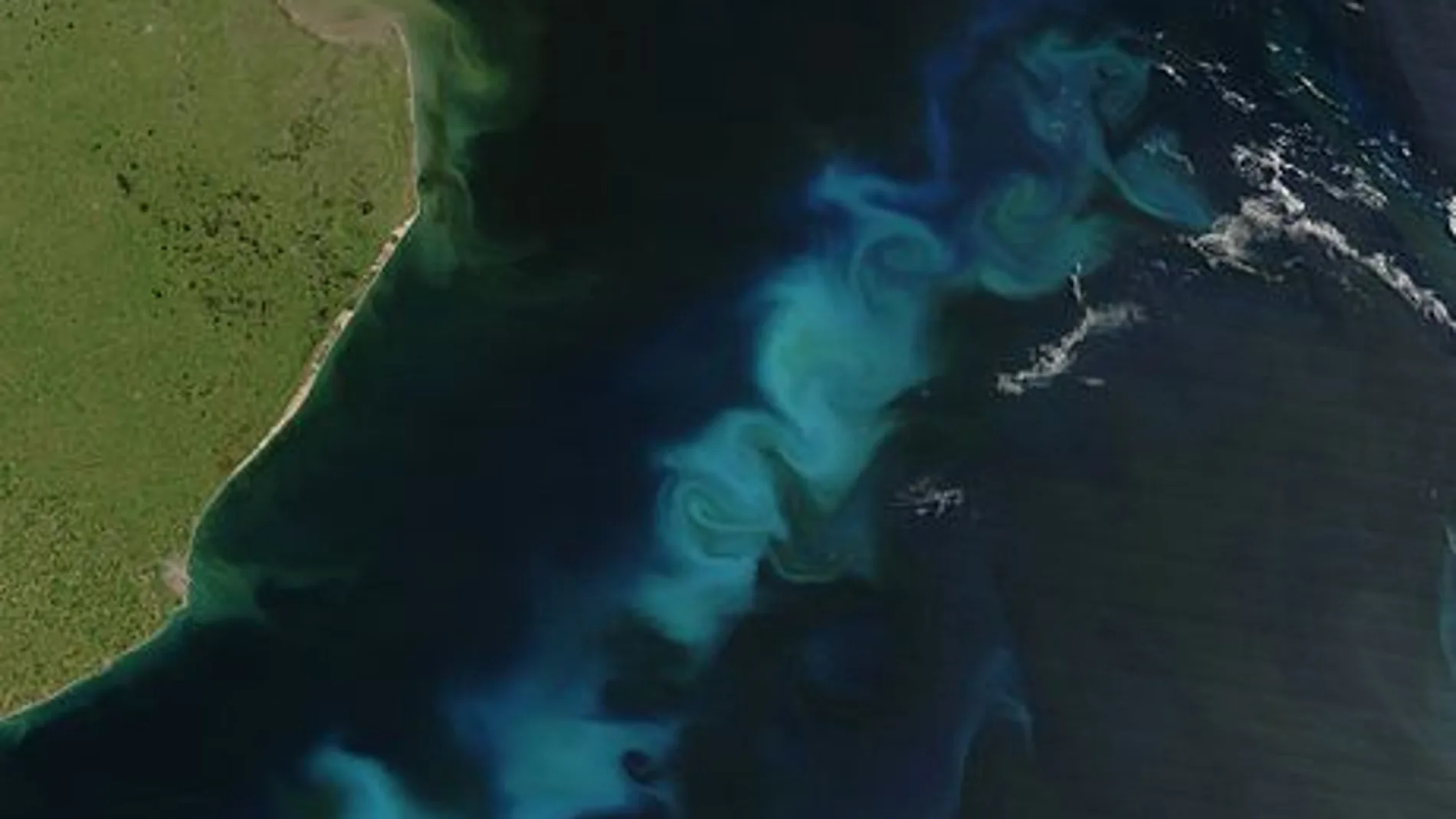Fitoplancton en la costa argentina, en una imagen tomada por la NASA
