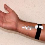 Imagen facilitada por la Universidad de Coimbra (Portugal) que permitirá monitorizar de forma constante la salud del usuario a través de diferentes parámetros /Efe