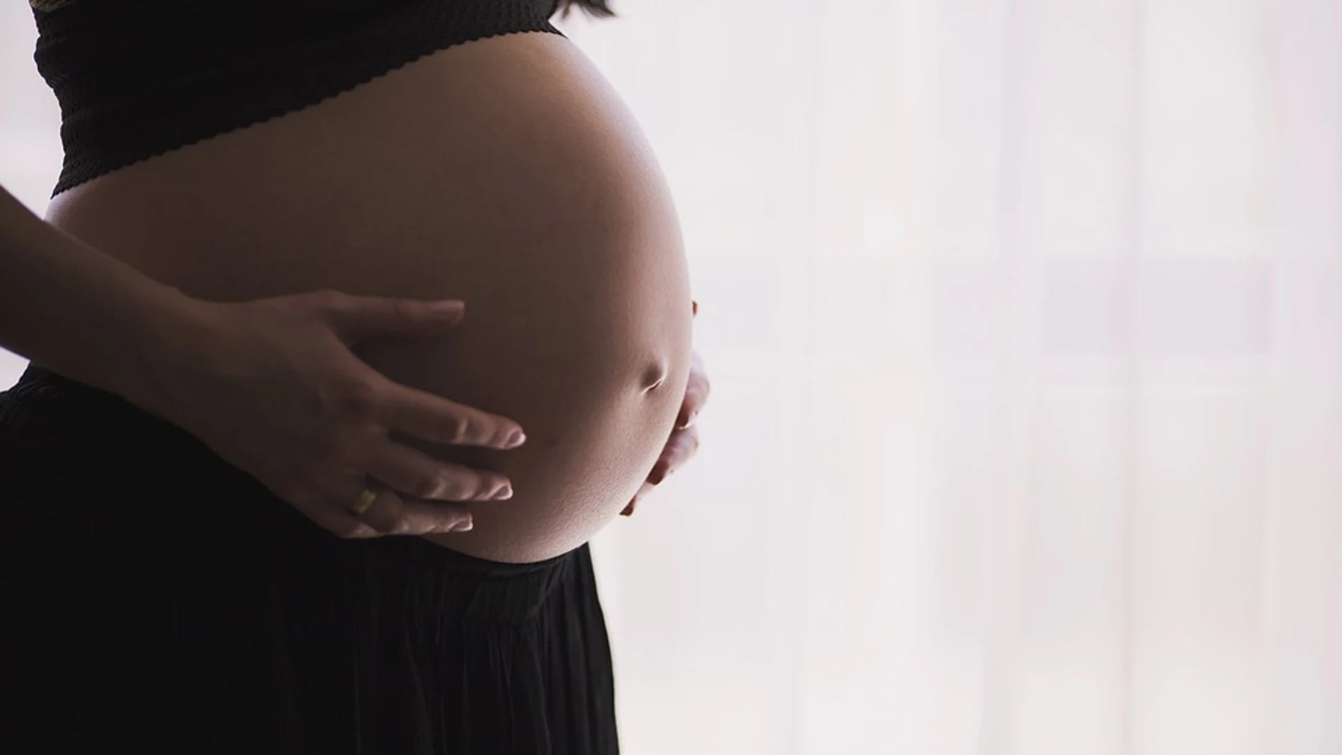 El estudio ha confirmado que el riesgo de gripe aumenta en las embarazadas / Pixabay