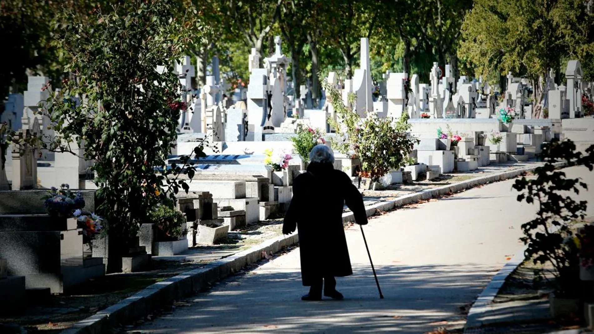 Una anciana paseando por el cementerio el pasado 1 de noviembre / Rubén Mondelo