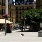 La recién nacida fue abandonada en un contenedor de basura en la plaza Zuloaga de San Sebastián