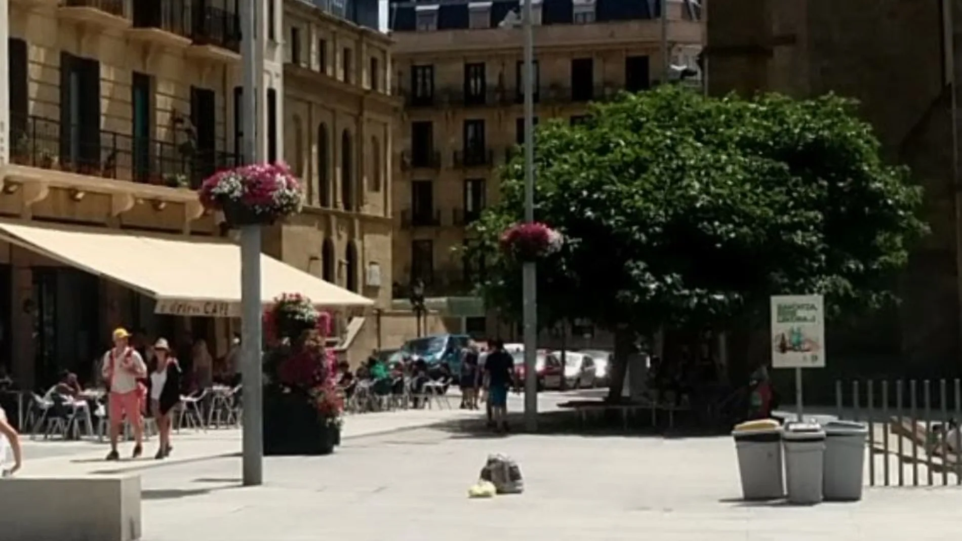 La recién nacida fue abandonada en un contenedor de basura en la plaza Zuloaga de San Sebastián
