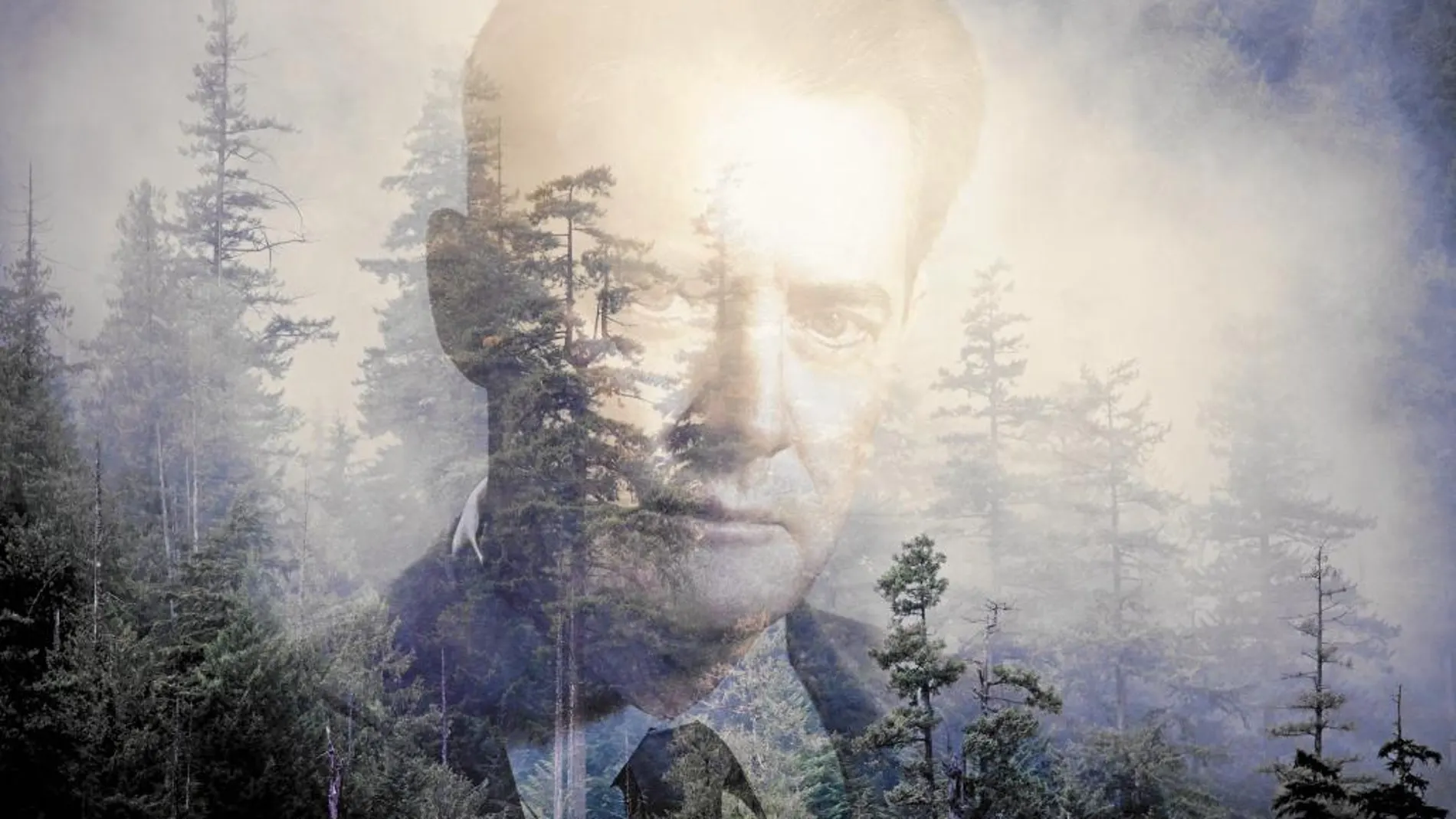 Twin Peaks: ¿Quién quiere volver al lugar del crimen?