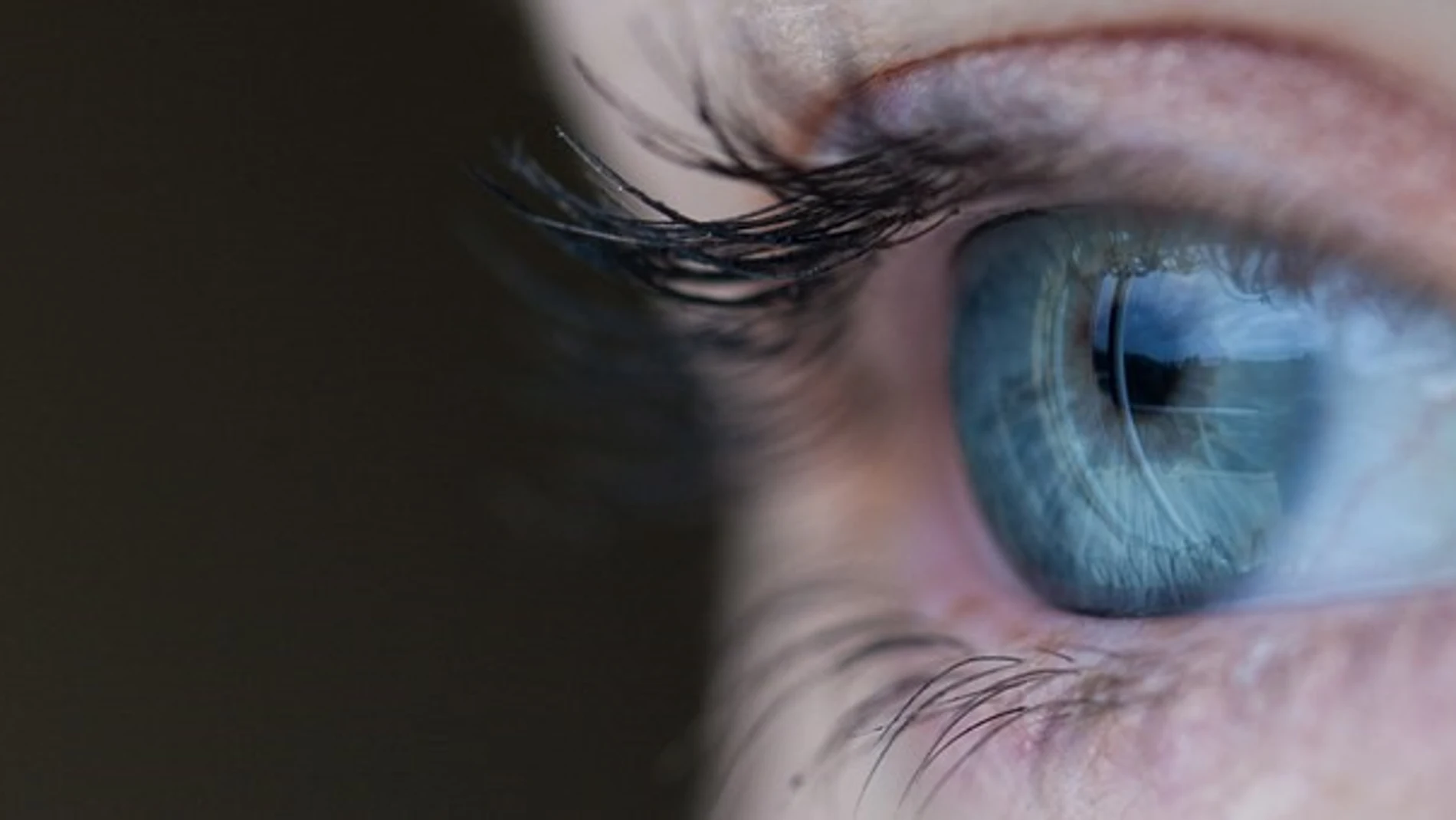 El cuidado de los ojos: consejos, y avances. Los expertos de Novovisión dan su opinión