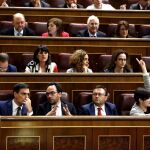 La bancada socialista durante el pleno del Congreso de esta tarde.