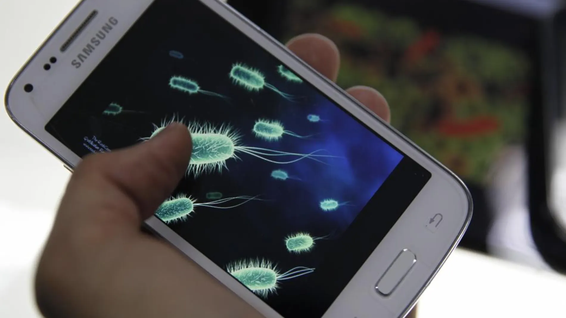 La pantalla de un móvil contiene 30 veces más bacterias que la taza del váter