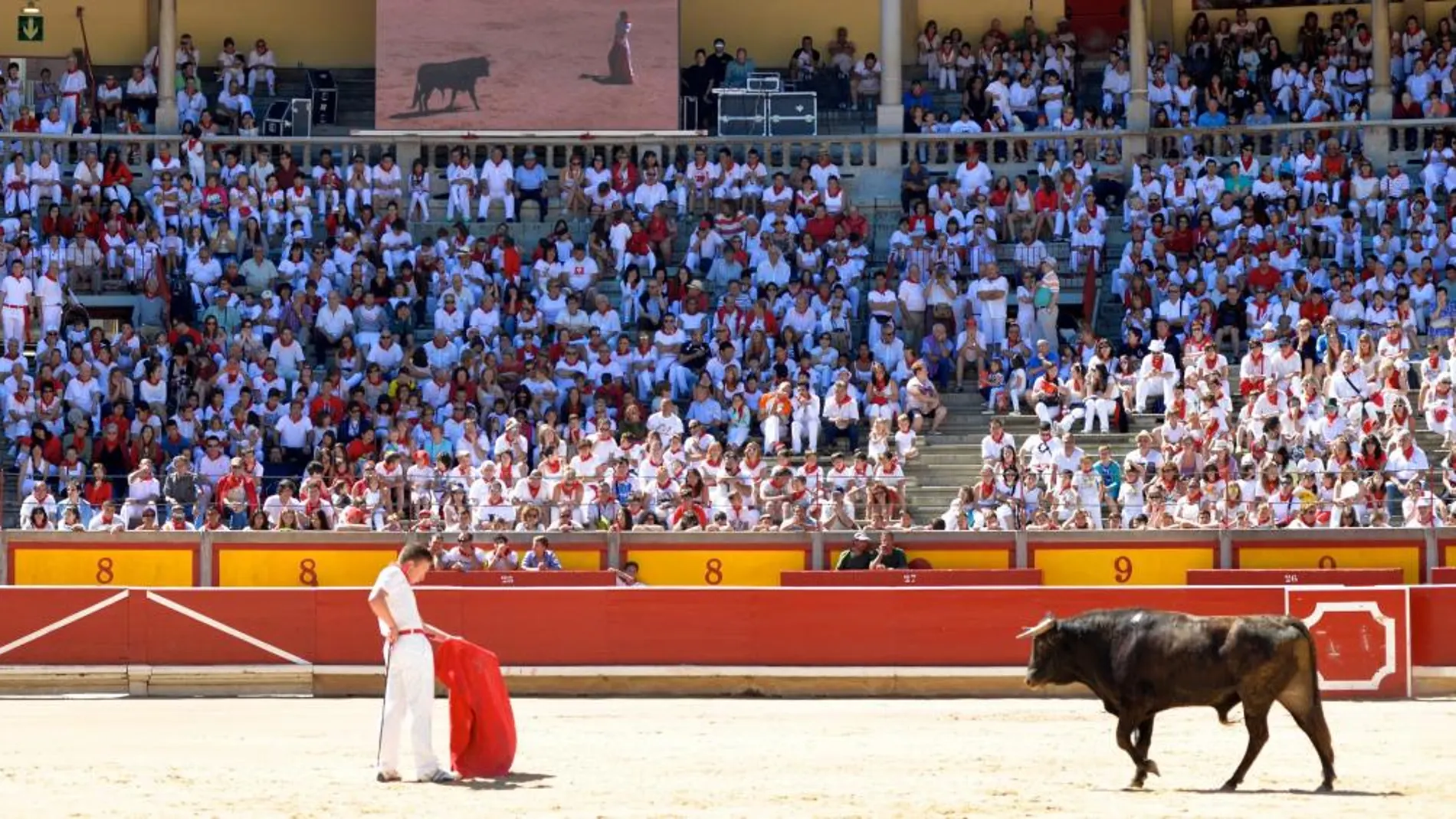 Jornada de los toros en familia de Pamplona
