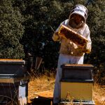 Apícola del Bierzo organiza un curso sobre inseminación artificial y selección genética de las abejas