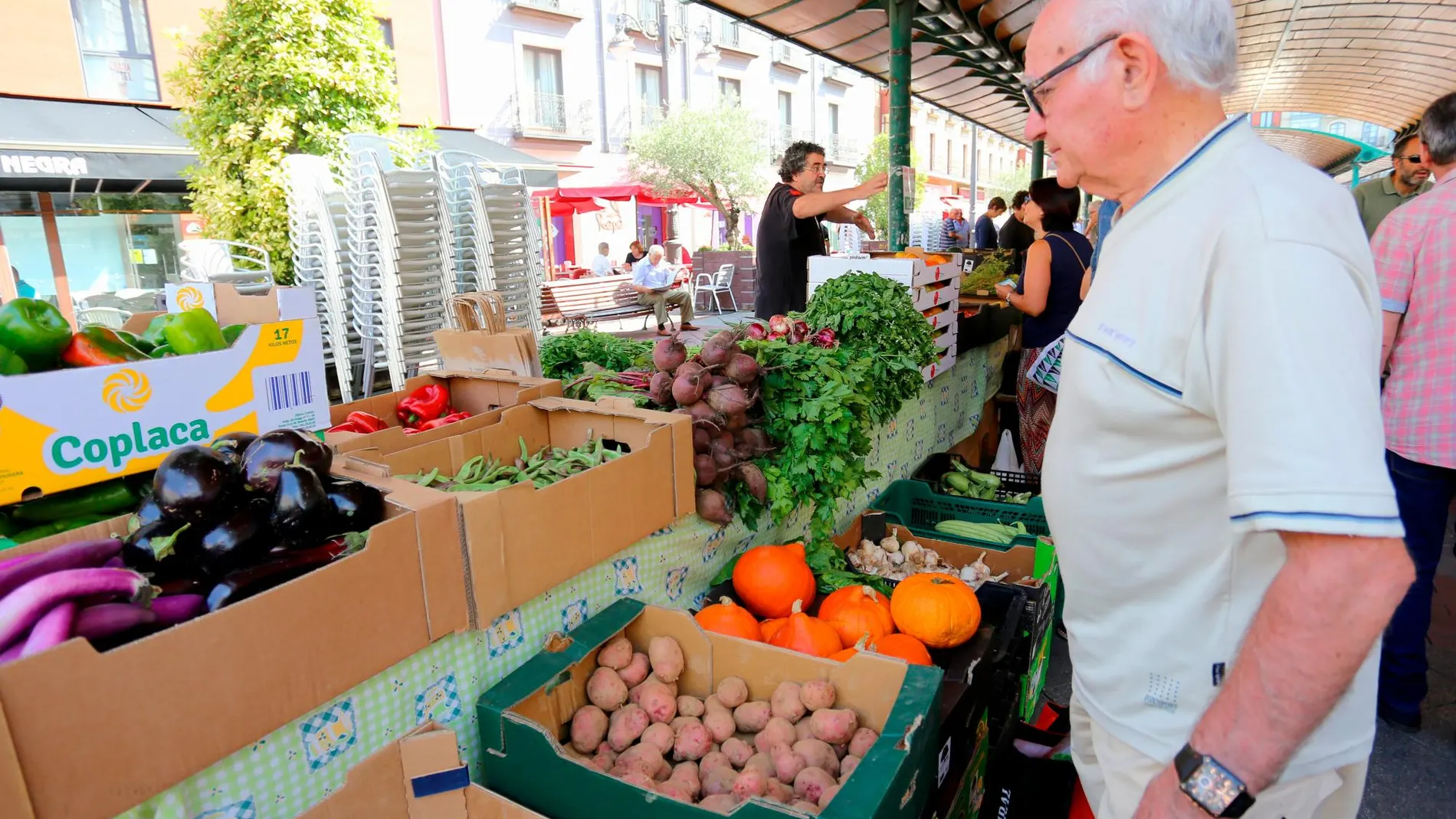 Mercado ecológico que se celebra en verano en la Plaza España de Valladolid