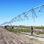 Se busca modernizar los regadíos de toda Castilla y León