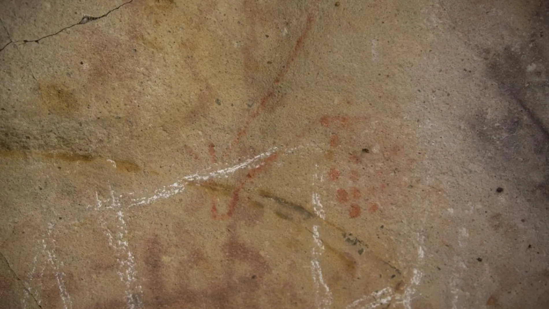 Pintura de una cierva de la época paleolítica que ha sido dañada