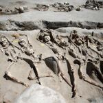 Parte de los esqueletos hallados al sur de Atenas