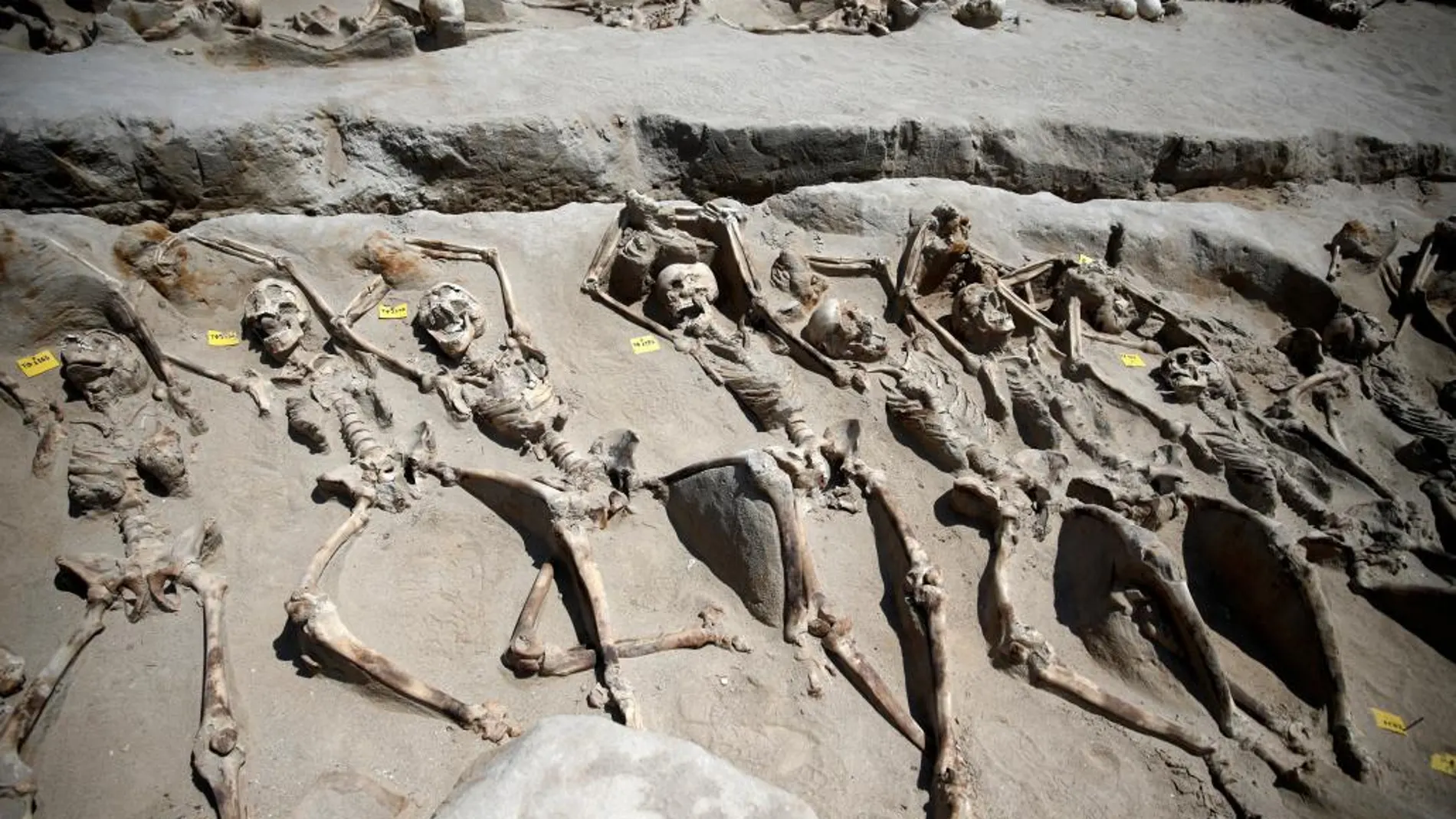 Parte de los esqueletos hallados al sur de Atenas