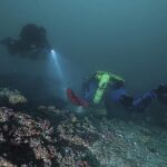 Dos buzos que inspeccionan un arrecife cerca de cinco culumnas de caliza escondidas debajo de los "Doce Apóstoles"