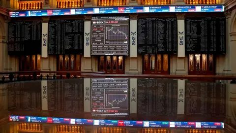 El principal indicador de la Bolsa española/ EFE/J.J. Guillén