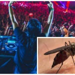 Así suena la canción de DJ Skrillex que repele al mosquito que transmite el Dengue