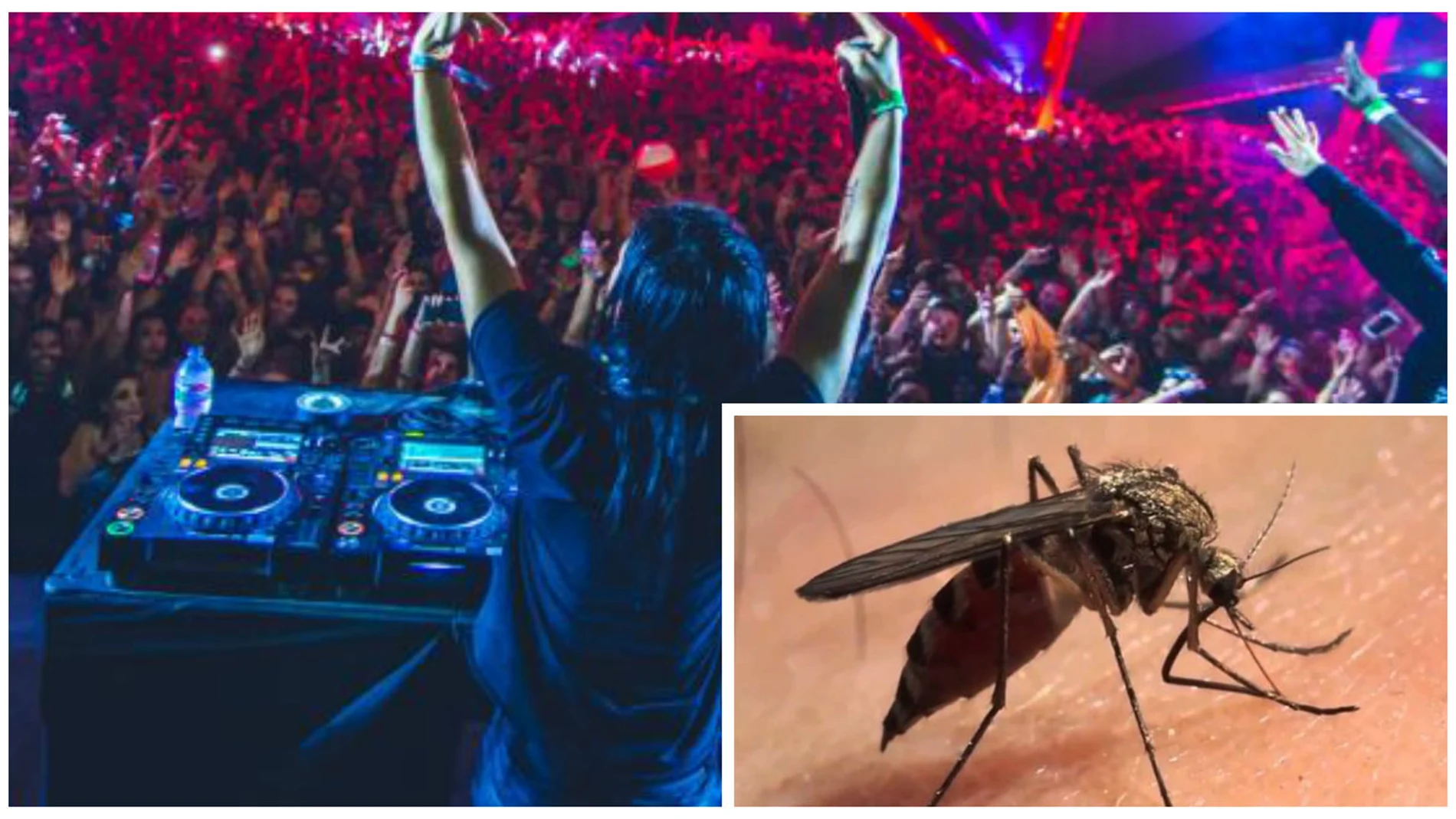 Así suena la canción de DJ Skrillex que repele al mosquito que transmite el Dengue