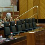 Asiento vacíos en el Pleno del Parlamento andaluz / Foto: Manuel Olmedo