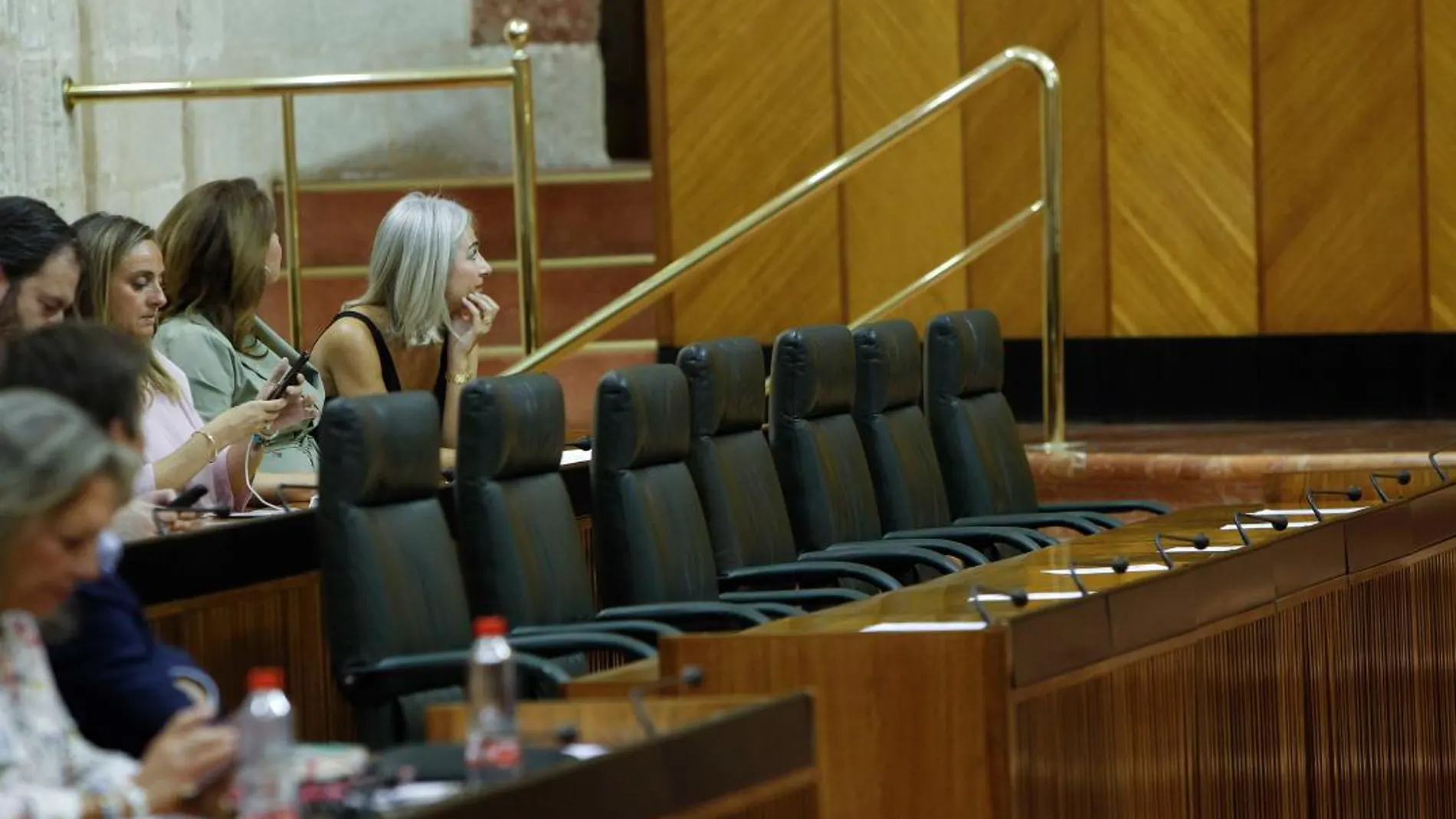 Asiento vacíos en el Pleno del Parlamento andaluz / Foto: Manuel Olmedo