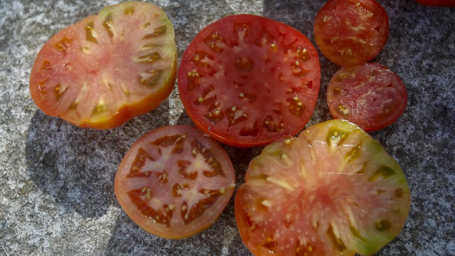 Algunas de las muchas variedades de tomates