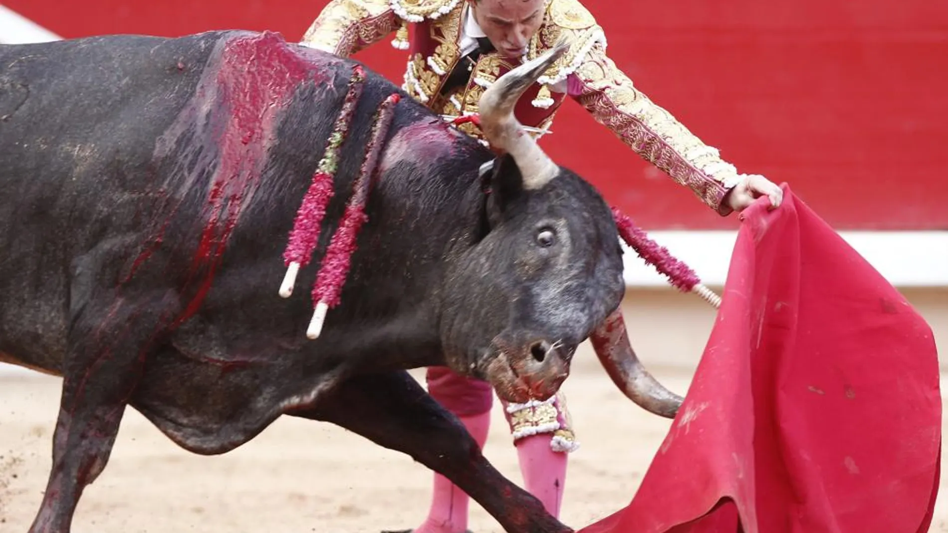 Rafaelillo, ante un toro de Miura, en imagen de archivo