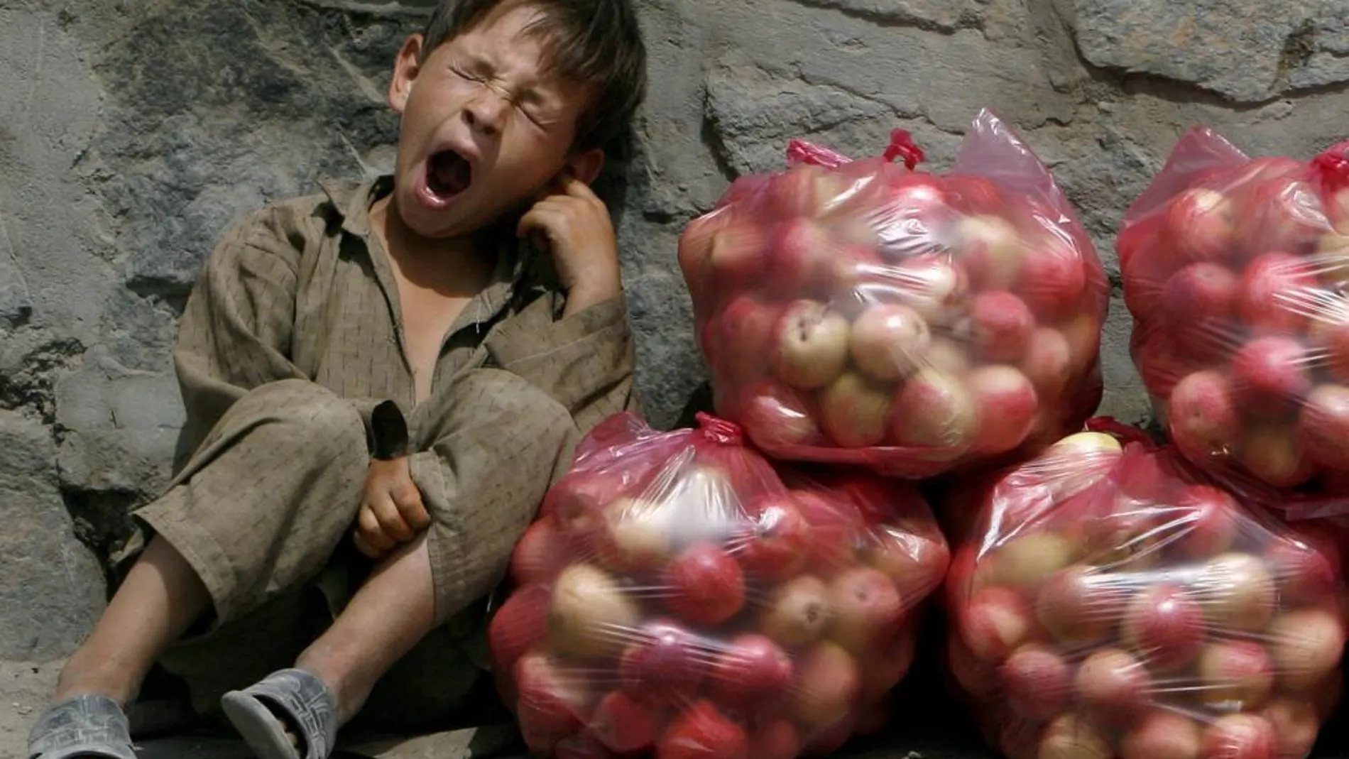 Un niño afgano bosteza sobre bolsas de manzanas | Fotografía de archivo