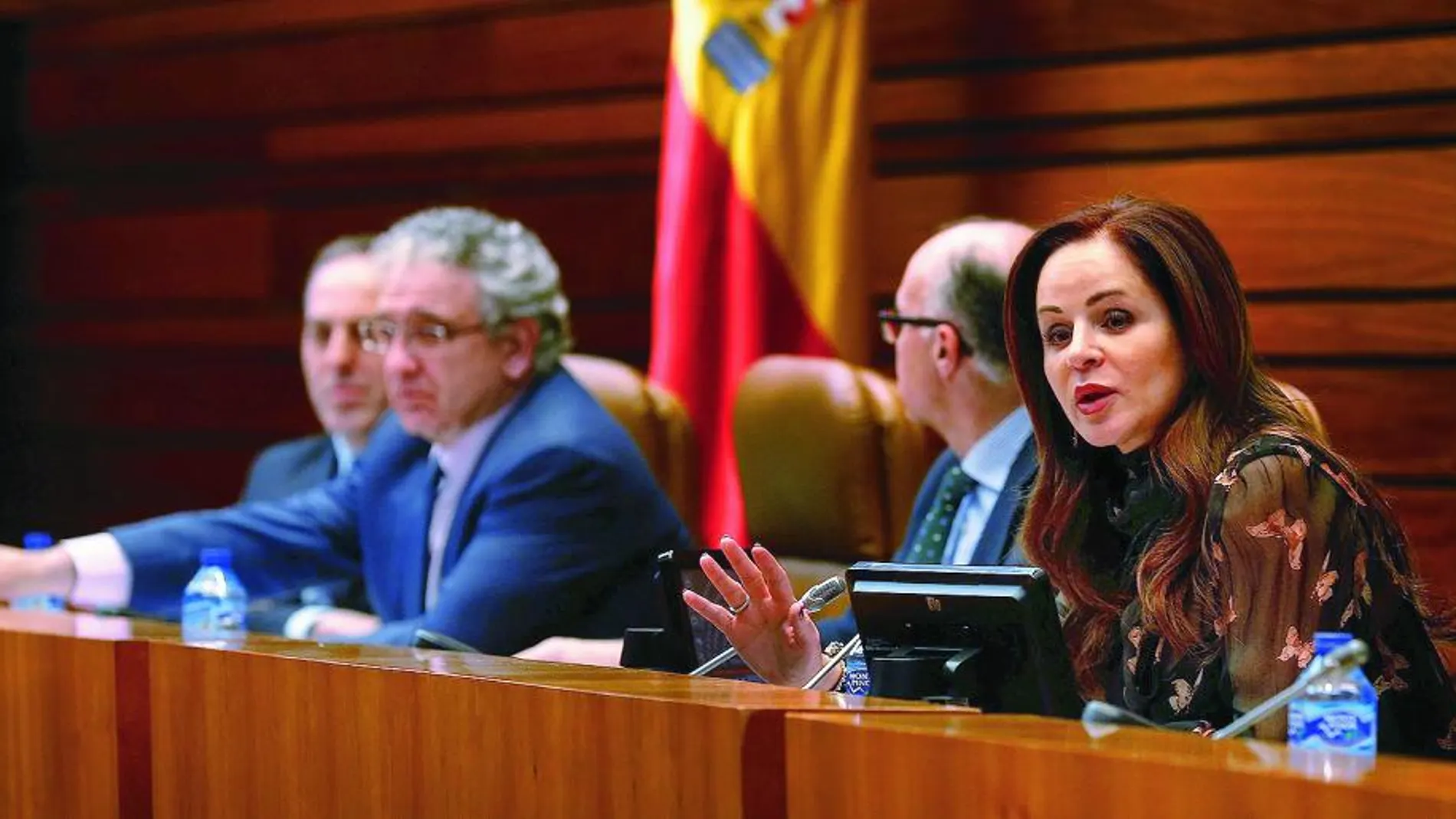 La presidenta del Legislativo autonómico, Silvia Clemente, interviene en uno de los intensos debates de esta primera sesión plenaria del año.