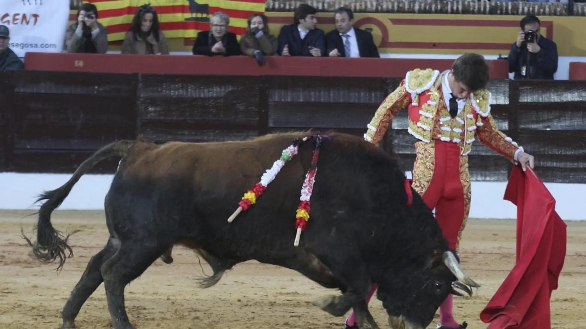 Natural de El Juli ayer en Olivenza