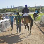Durante la semana de la arquitectura habrá visitas guiadas al Hipódromo de la Zarzuela