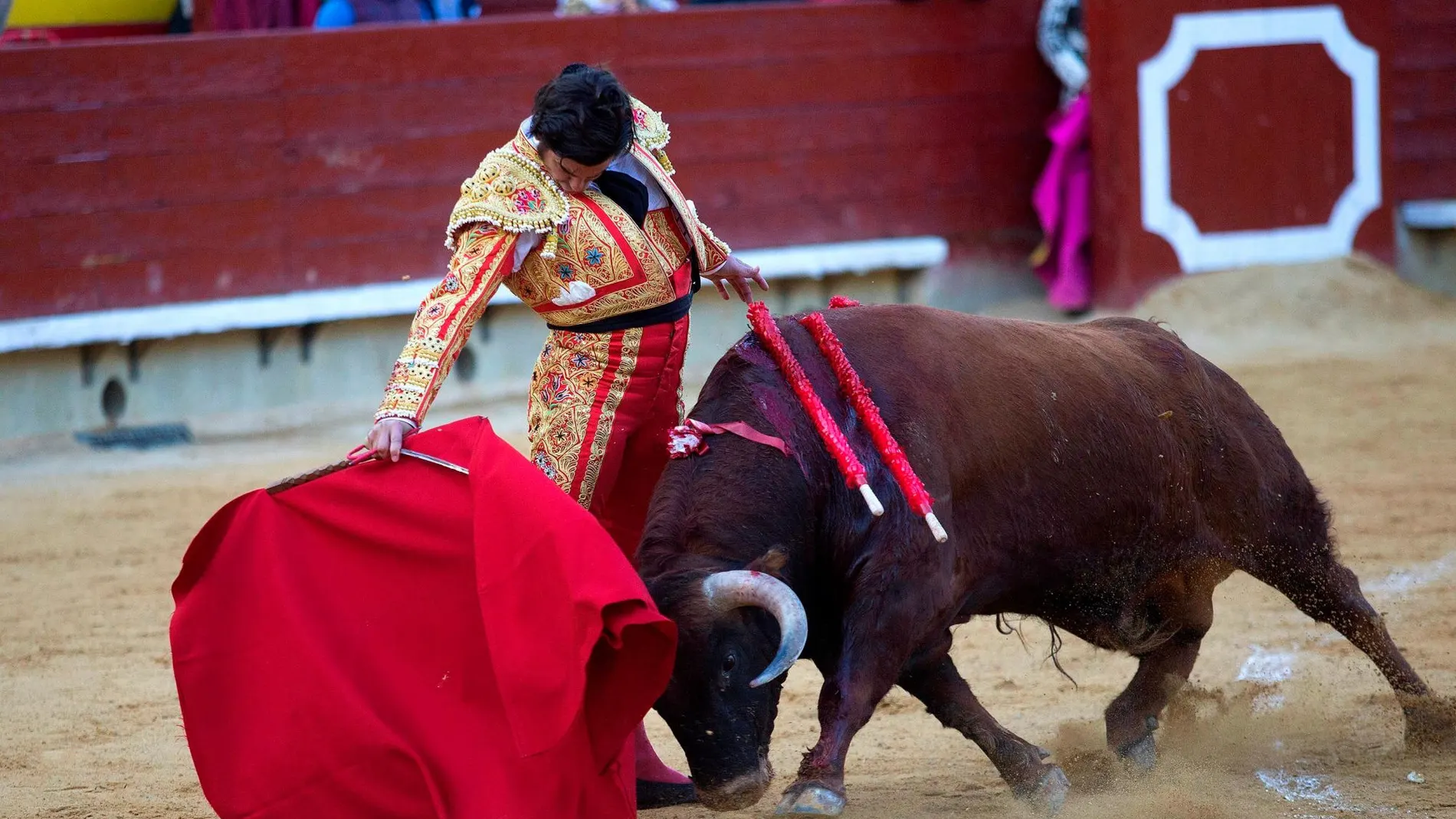 El diestro Morante tras su faena en el quinto festejo de la Feria de la Magdalena, celebrado este sábado en la plaza de Castellón.