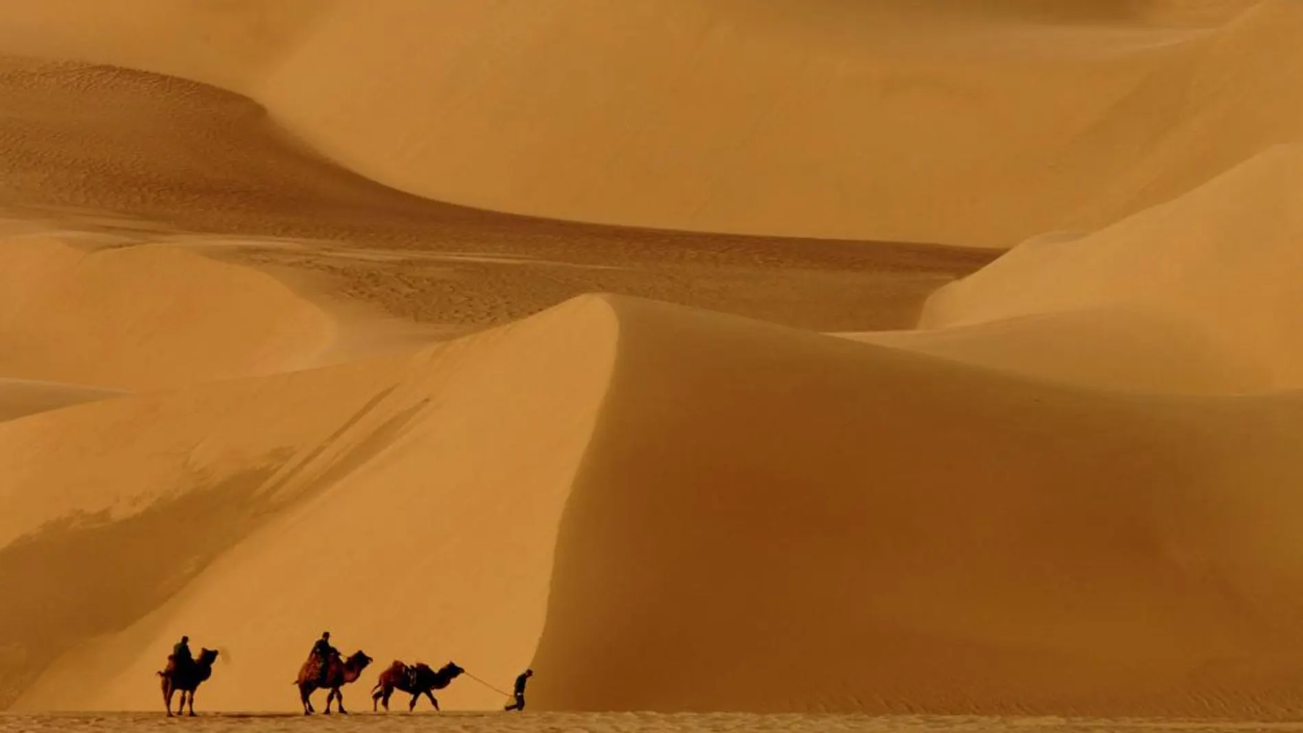 El desierto del Gobi