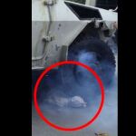 Muere un menor de un disparo mientras Maduro baila en televisión