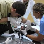 Salen de la Universidad el doble de los veterinarios que el mercado demanda