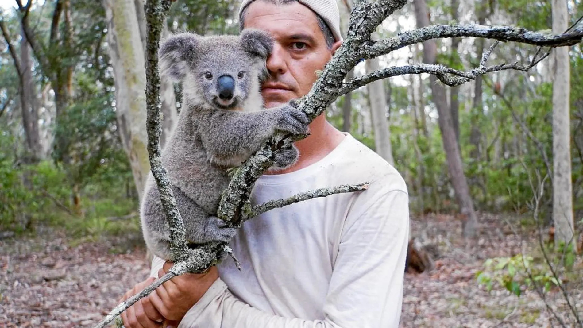 En esta aventura, Frank mostrará especies tan características de este país como los koalas