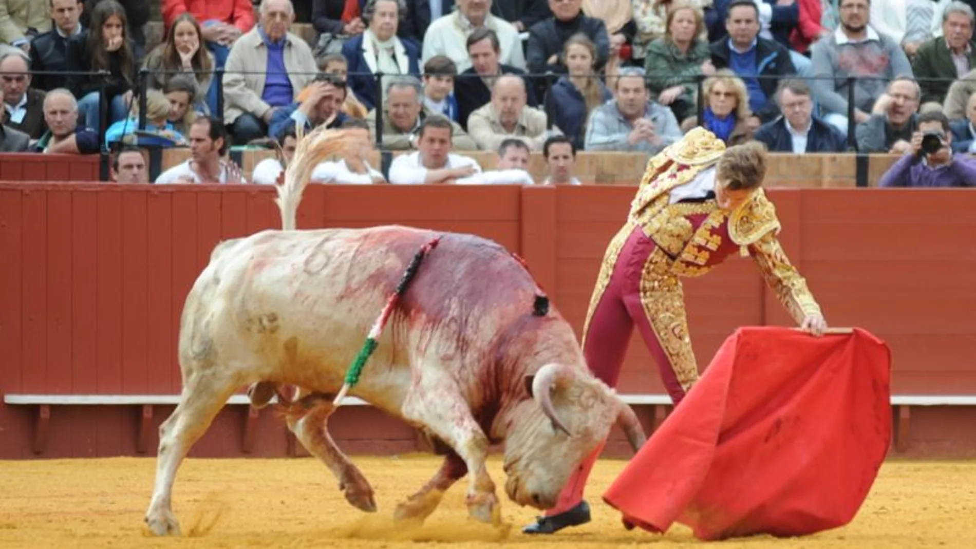 Román torea con la zurda al segundo novillo de Núñez del Cuvillo